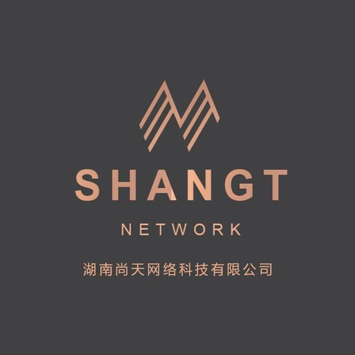 湖南尚天網(wǎng)絡(luò)科技 創(chuàng)新驅(qū)動，賦能數(shù)字未來