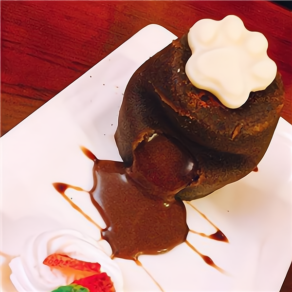 小世界貓主題西餐廳 當(dāng)精致餐飲遇見(jiàn)溫暖陪伴